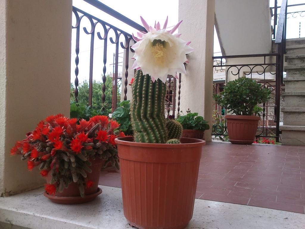 Borgo Buciardella Villa Baschi Dış mekan fotoğraf