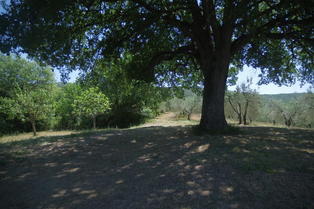 Borgo Buciardella Villa Baschi Dış mekan fotoğraf