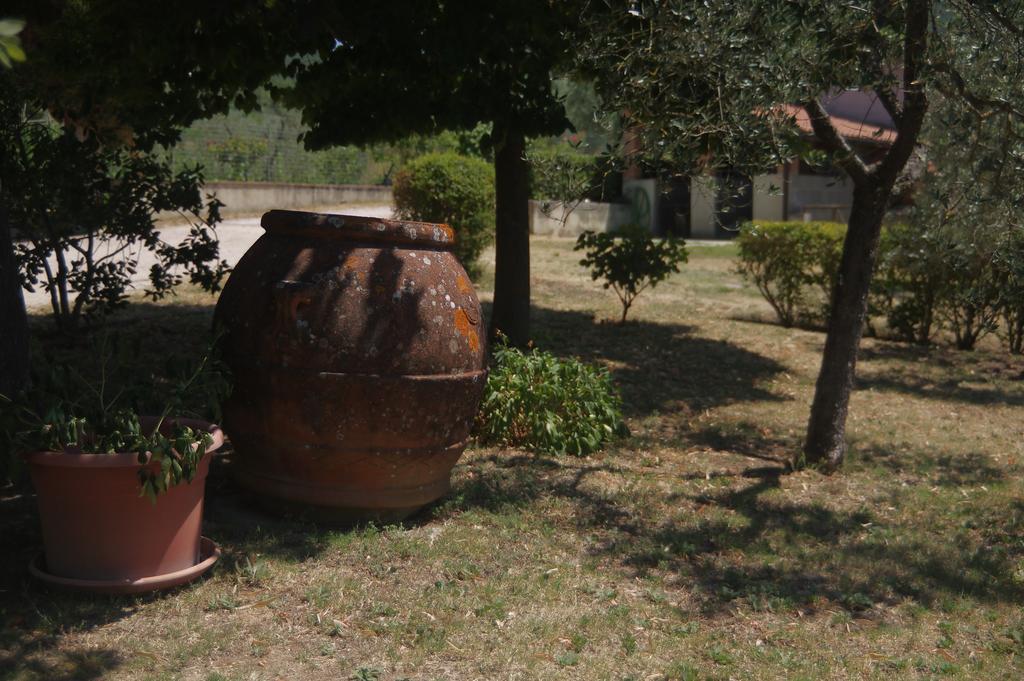 Borgo Buciardella Villa Baschi Dış mekan fotoğraf