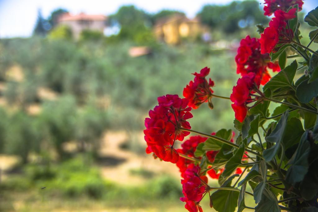 Borgo Buciardella Villa Baschi Dış mekan fotoğraf